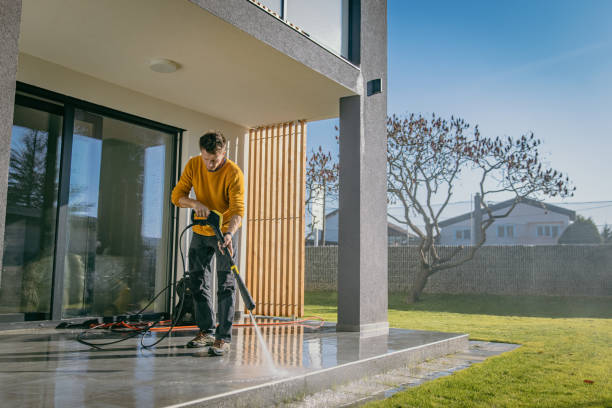 Best Roof Cleaning and Mildew Removal in Otterbe, IN